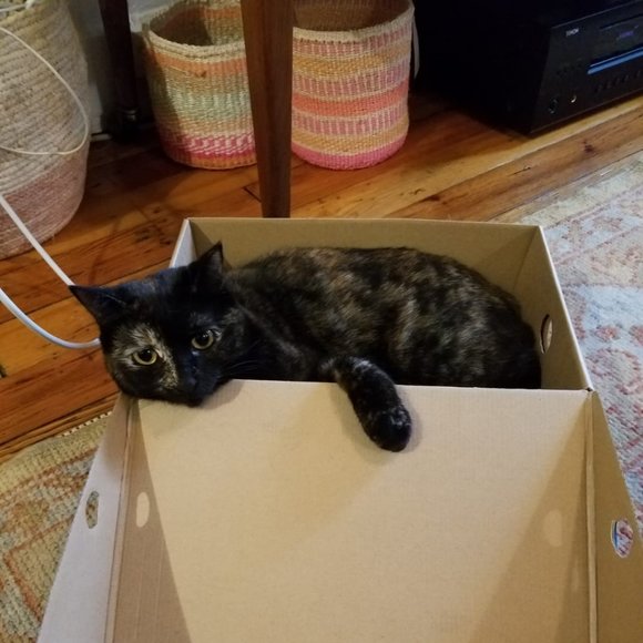 I'm Valeriesling! - Picture 2 of 2